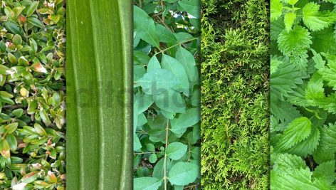 دانلود تکسچر طبیعت Pure Nature Textures x10