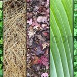 دانلود تکسچر طبیعت Pure Nature Textures x10