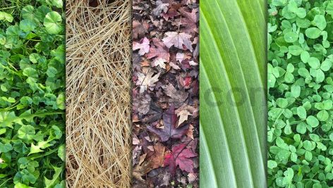 دانلود تکسچر طبیعت Pure Nature Textures x10