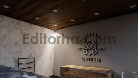 موکاپ لوگو 2