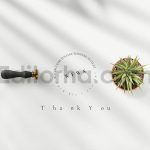 دانلود لایه باز کارت دعوت عروسی گلدار آبرنگی Watercolor Foliage Wedding
