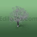 دانلود مدل آماده سه بعدی: درخت زمستانی
