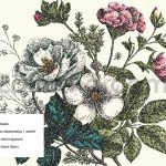 دانلود استایل فتوشاپی افکت سایه زنی نقطه ای