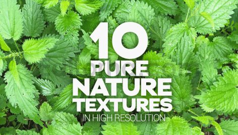 دانلود تکسچر طبیعت Pure Nature Textures x10