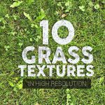 دانلود 10 تکسچر باکیفیت بافت انواع چمن Grass Textures