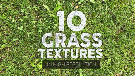 دانلود 10 تکسچر باکیفیت بافت انواع چمن Grass Textures