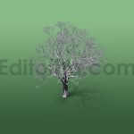 دانلود مدل آماده سه بعدی: درخت زمستانی