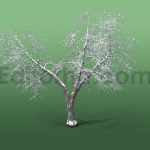 دانلود مدل آماده سه بعدی: آبجکت درخت زمستانی