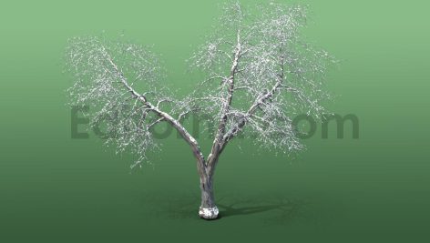 دانلود مدل آماده سه بعدی: آبجکت درخت زمستانی