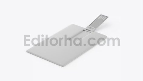 موکاپ فلش مموری کارتی5