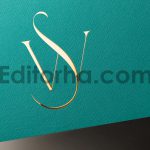 موکاپ لوگو1
