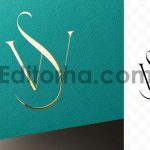 موکاپ لوگو3