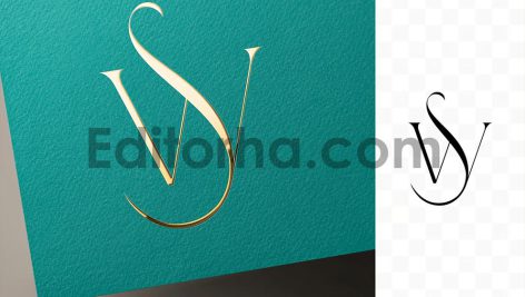موکاپ لوگو3