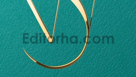 موکاپ لوگو4
