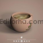 موکاپ ماگ3