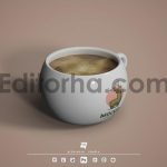 موکاپ ماگ6