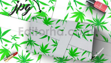موکاپ کیف لوازم آرایشی3