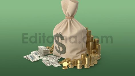دانلود مدل آماده سه بعدی: آبجکت کیسه پول