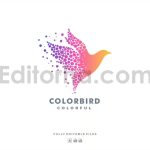دانلود فایل لایه باز لوگو انتزاعی پرنده رنگارنگ Abstract Bird Colorful Logo