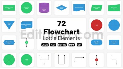 دانلود پروژه آماده افترافکت: مجموعه موشن فلوچارت Flowchart Lottie Elements