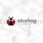 دانلود فایل لایه باز لوگو ساده با طرح کفشدوزک Nicebug Logo Template