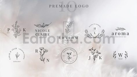 دانلود فایل لایه باز لوگو آماده زیبا و مدرن Premade logo
