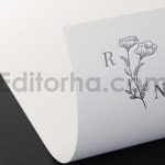 دانلود فایل لایه باز لوگو آماده زیبا و مدرن Premade logo