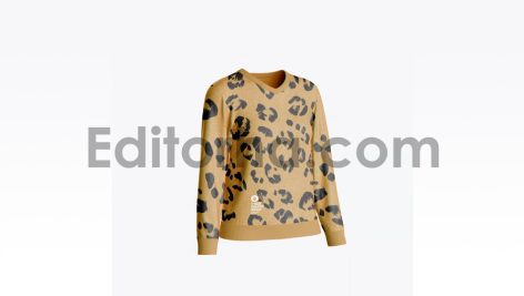 موکاپ ژاکت زنانه11