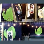 پروژه آماده داوینچی ریزالو: اینترو فرش قرمز Awards Opener - Red Carpet