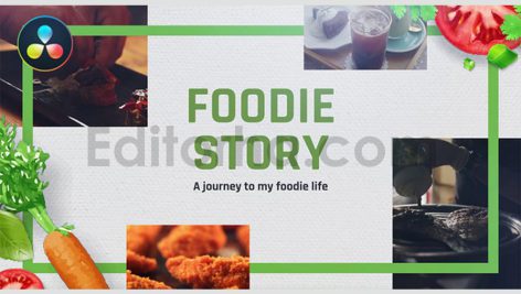 دانلود پروژه آماده داوینچی ریزالو: وله معرفی غذا Foodie Story