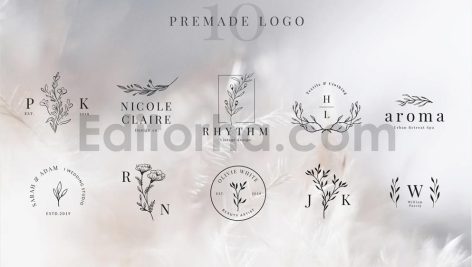 دانلود فایل لایه باز لوگو آماده زیبا و مدرن Premade logo