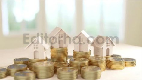 فوتیج موشن گرافیک مفهوم رشد سرمایه گذاری در املاک و مستغلات