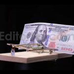 فوتیج تله موش با 100 دلاری