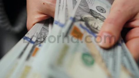 فوتیج زن در حال شمردن دلار