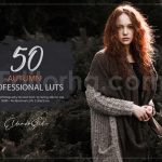 دانلود 50 پریست LUT رنگ پاییزی 50 autumn forest luts pack