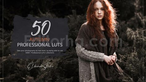 دانلود 50 پریست LUT رنگ پاییزی 50 autumn forest luts pack