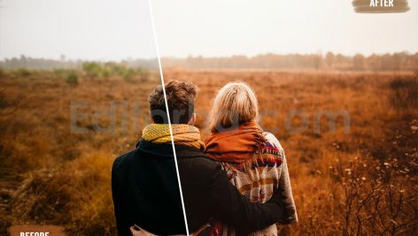 دانلود 50 پریست LUT رنگ پاییزی 50 autumn forest luts pack