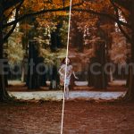دانلود 50 پریست LUT رنگ پاییزی 50 autumn forest luts pack