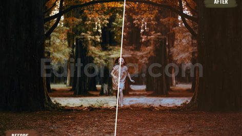 دانلود 50 پریست LUT رنگ پاییزی 50 autumn forest luts pack