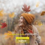 دانلود افکت عکس برگ های پاییزی Autumn Leaves Photo Overlays