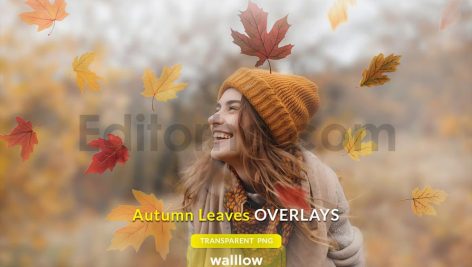 دانلود افکت عکس برگ های پاییزی Autumn Leaves Photo Overlays