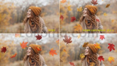 دانلود افکت عکس برگ های پاییزی Autumn Leaves Photo Overlays