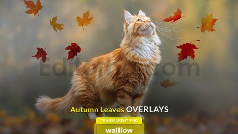دانلود افکت عکس برگ های پاییزی Autumn Leaves Photo Overlays