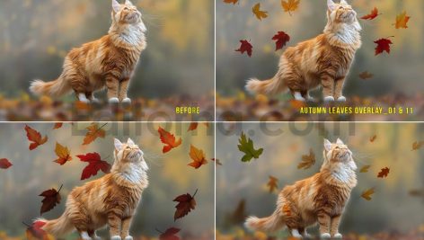 دانلود افکت عکس برگ های پاییزی Autumn Leaves Photo Overlays