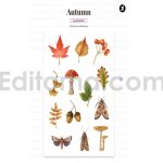 دانلود فایل لایه باز کارت دعوت تولد تم پاییزی birthday invitation card
