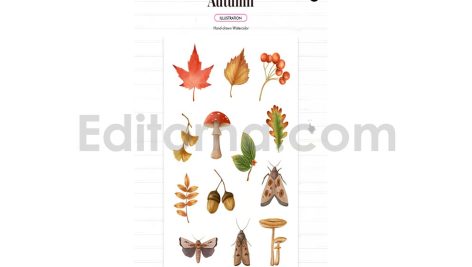 دانلود فایل لایه باز کارت دعوت تولد تم پاییزی birthday invitation card