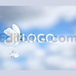 دانلود پروژه آماده افترافکت: اینترو بهار Flying Flowers Opener