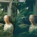 دانلود پریست رنگی LUT سبز برای پریمیر پرو green presets luts premiere