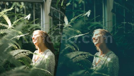 دانلود پریست رنگی LUT سبز برای پریمیر پرو green presets luts premiere