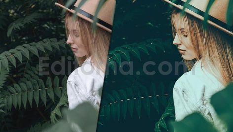دانلود پریست رنگی LUT سبز برای پریمیر پرو green presets luts premiere